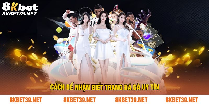 Cách để nhận biết trang đá gà uy tín