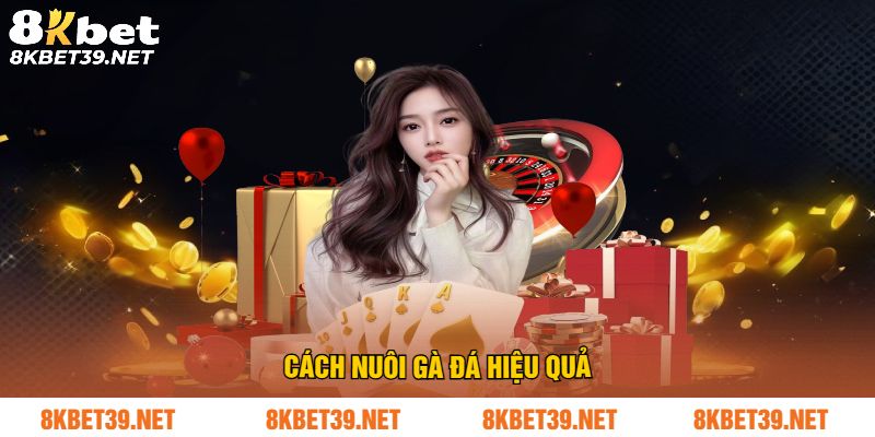 Cách nuôi gà đá hiệu quả