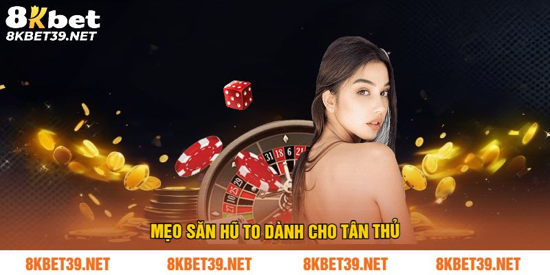 Mẹo săn hũ to dành cho tân thủ