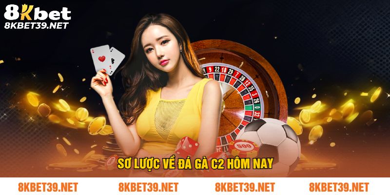 Sơ lược về đá gà c2 hôm nay