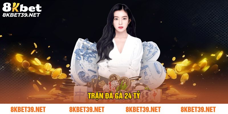 Trận đá gà 24 tỷ